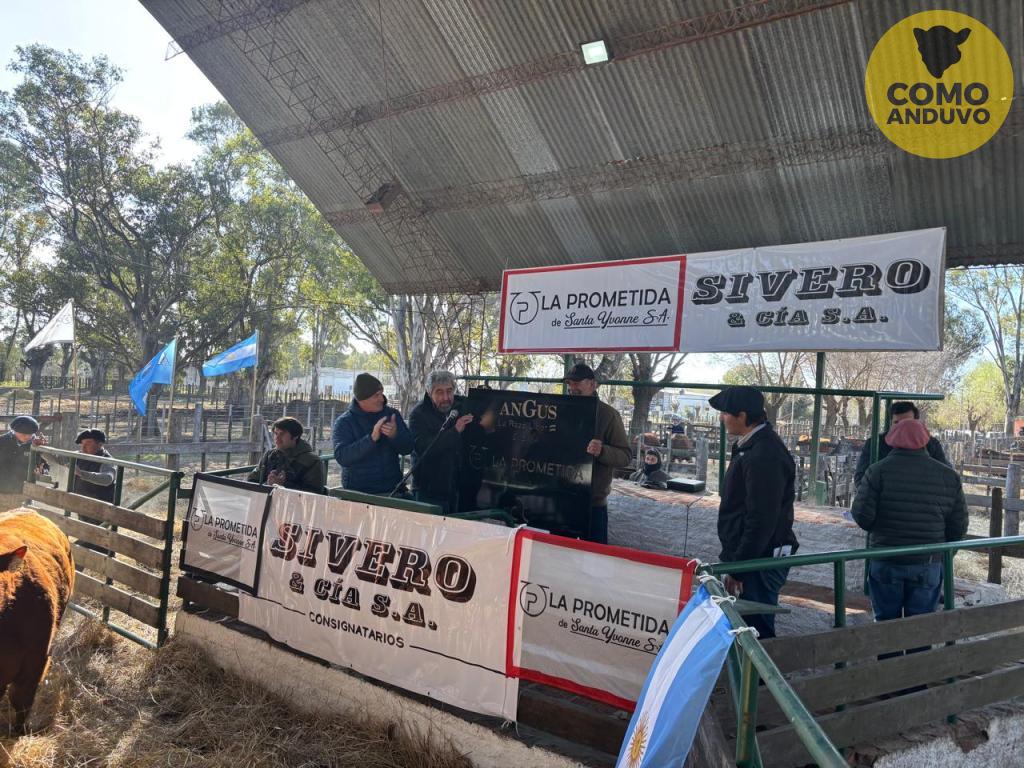 La Prometida de Sta Yvonne